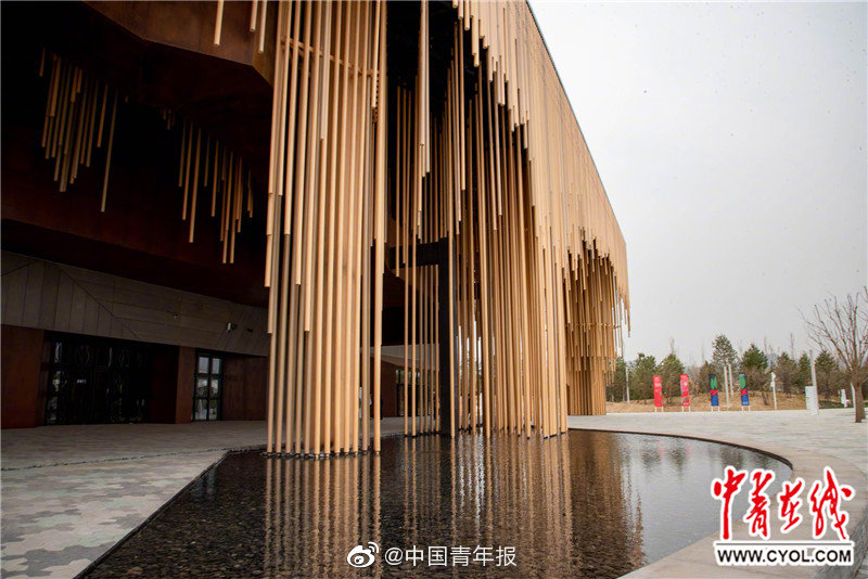 天天彩票网址登录分享